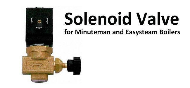Solenoid Valve for Minuteman and Easysteam Boiler